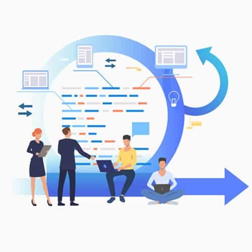 management transversal