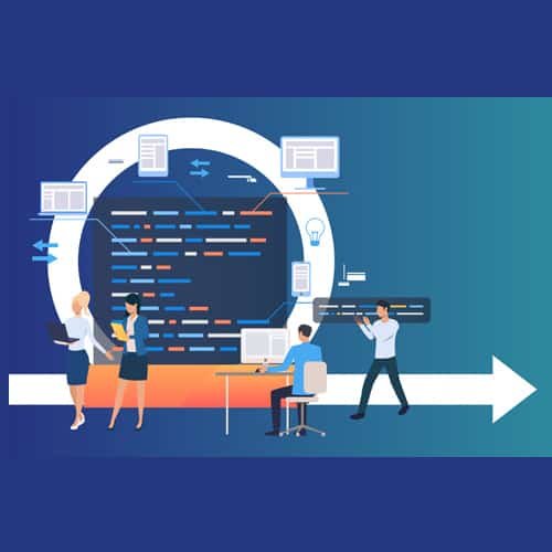 Management transversal